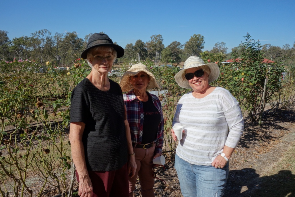 Queensland Rose Society Photos Rose Activities